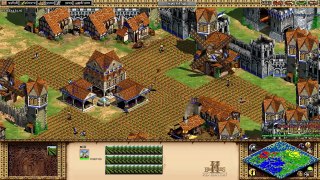 Age of Empires 2 HD - Treinando