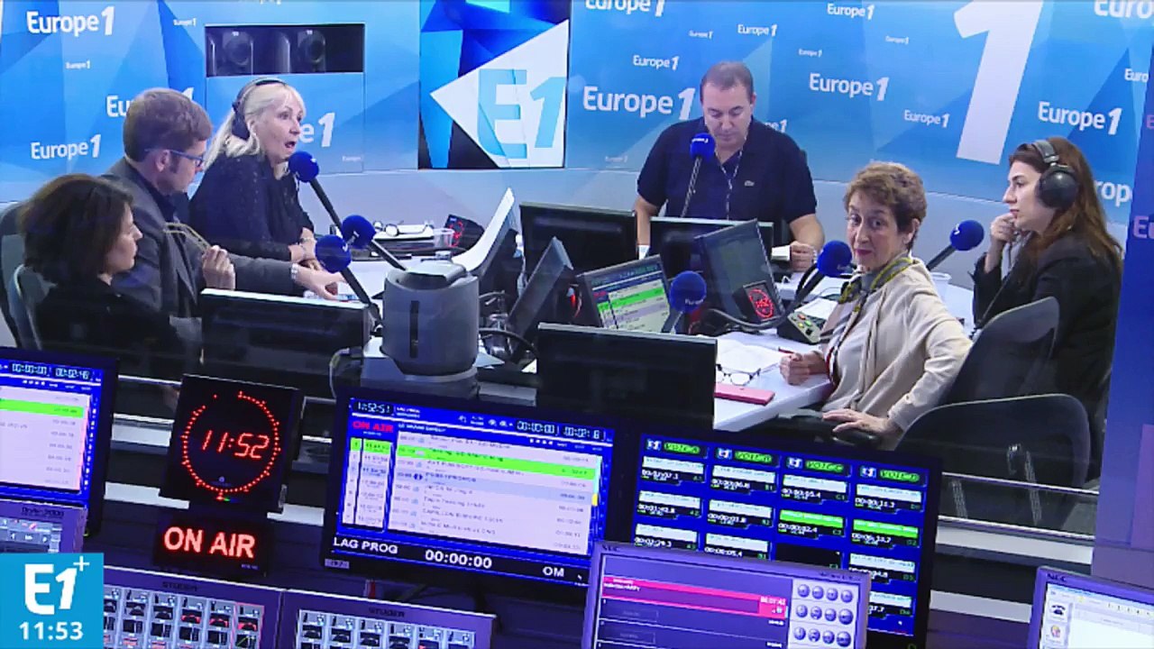 Pointée du doigt, la présidente de la SPA Natacha Harry dénonce "de la calomnie pure et simple"