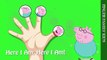 Finger Family Song Peppa Pig George Daddy Pig Mummy Pig Teddy Nursery Rhyme video snippet