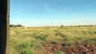 Tanzania Serengeti Namiri Wildebeest migration