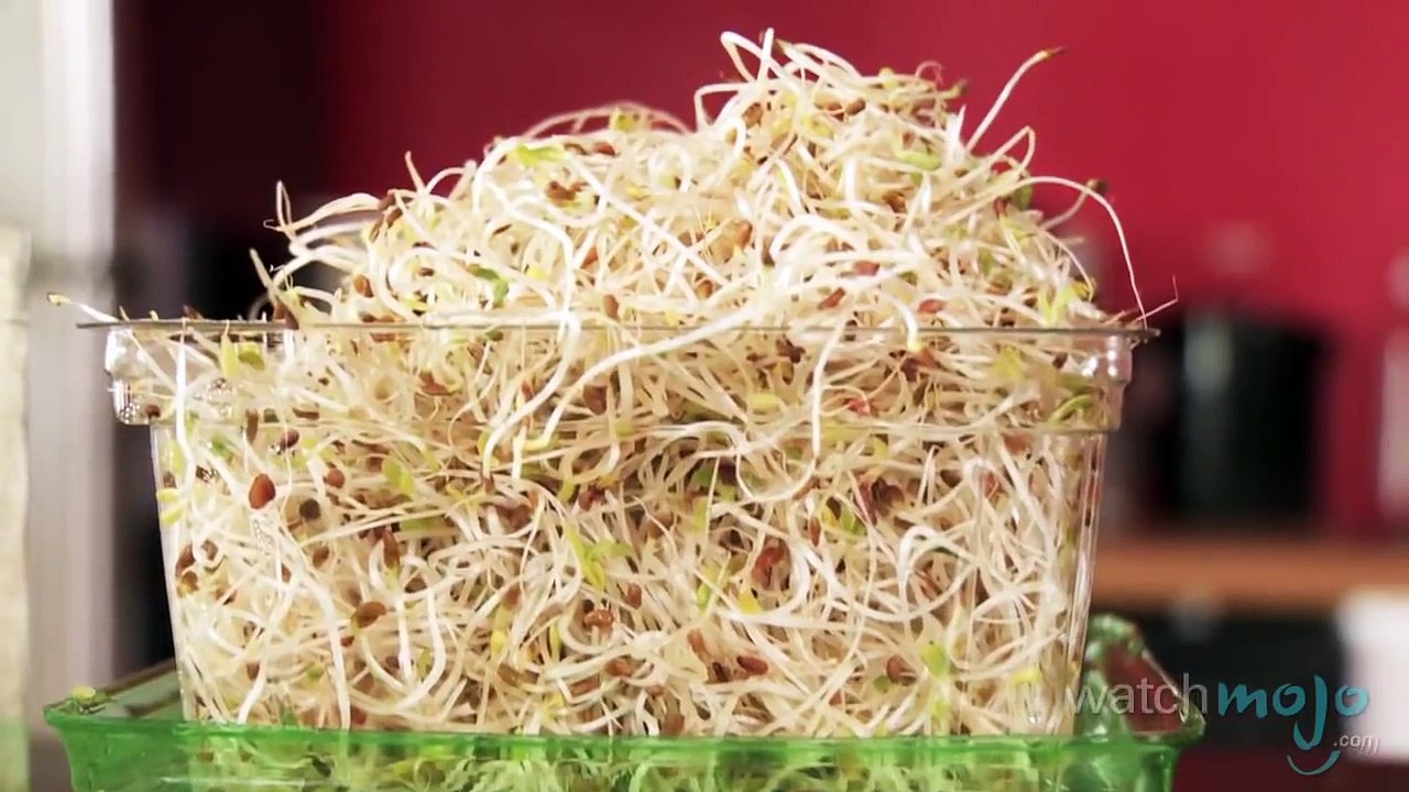 Top 10 Healthiest Vegetables