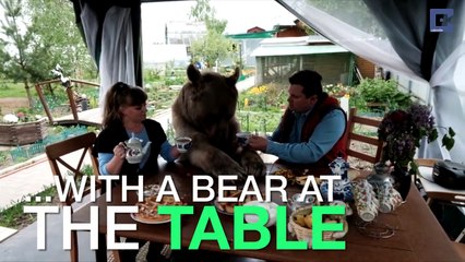 Domesticated 7ft Bear Lives With Russian Couple - VirlyMedia