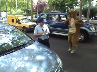 KANGAROO (REMI GAILLARD)