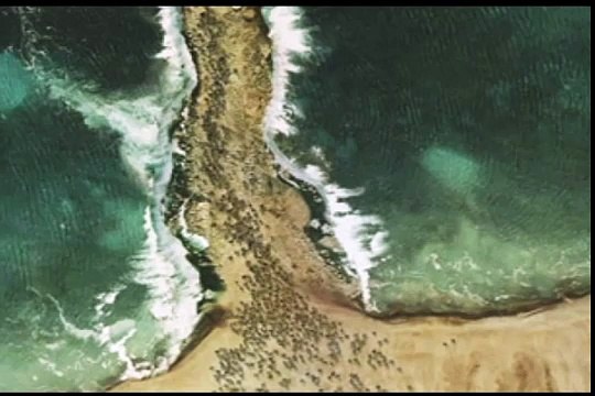 Hazrat Musa AS aur unki lathi ka mojza samandar ko bhi cheer diya by Maulana Tariq Jameel