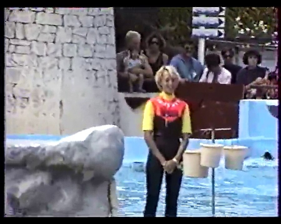 Spectacle otaries VHS-C051_005