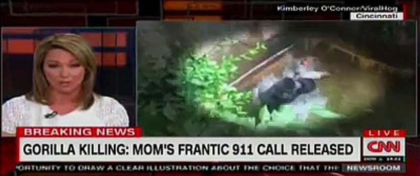 Voici ce que la mère du petit garçon qui est tombé dans l'enclos à gorille a dit à la police!