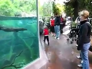 fish race with kid in Dubai very interesting