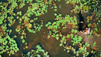 Животный инстинкт 3 сезон. 02. Суматра: по следам орангутангов (2015)