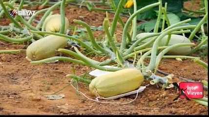 İş'te Vizyon 05 Haziran 2016