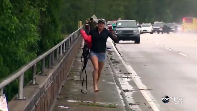 Ils risquent leur vie pour sauver des chevaux piégés dans une rivière en crue