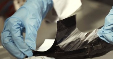 Gizemli Cinayetin Tek Tanığı Papağan Aynı Sözleri Tekrar Ediyor