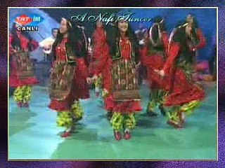 TRT HALK OYUNLARI TOPLULUĞU - O Yârimin Damından Hoplıyamadım (Sözlü)
