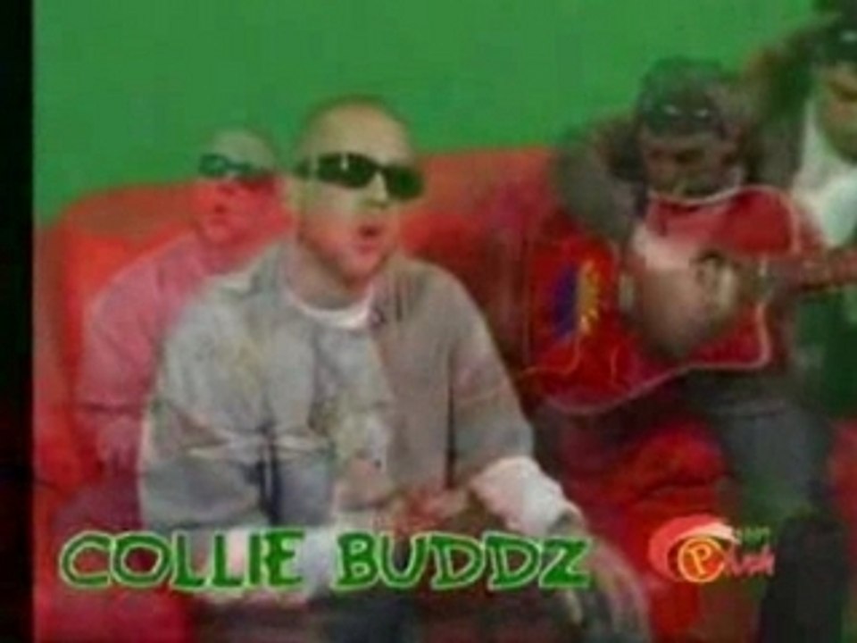Collie Buddz - come around