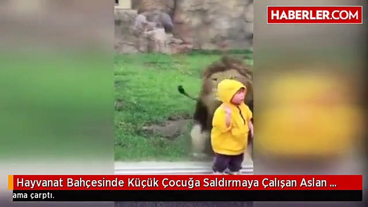 Aslan
