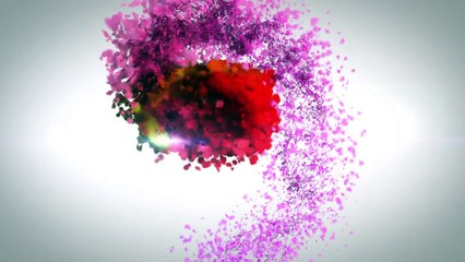 “The successful warrior is the average man, with laser like focus.”- Shoppingjinni.com