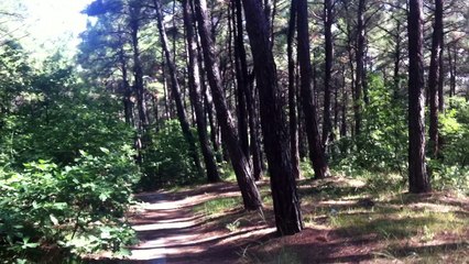 17 Blue Eye {Nimfea-Komotini}GREECE