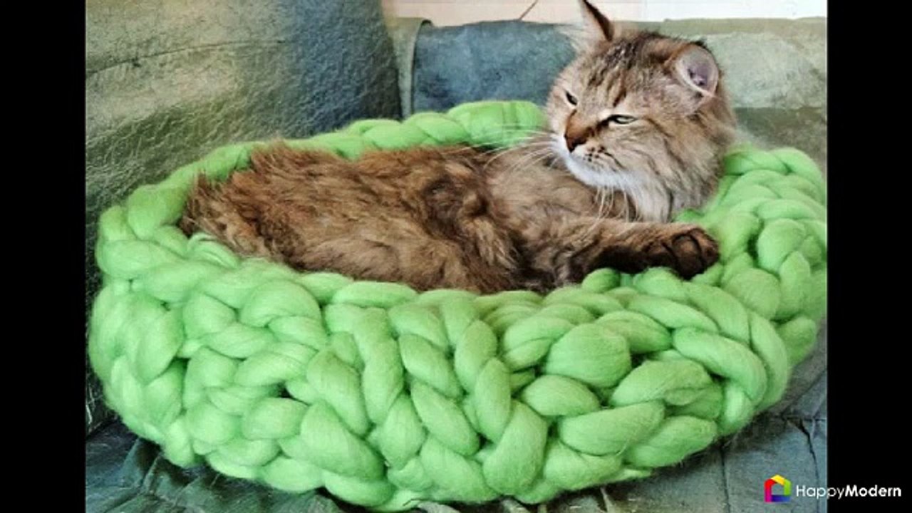 Делаем дом для кошки своими руками (50 фото) виды, материалы, инструкции