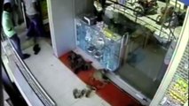 Monkey robs jewellery store in India