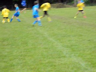 BUT DE CORENTIN  le 15 mai 2016 st Haon le vieux