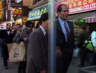 Forever Knight 08 - Cherry Blossoms