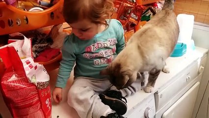 девчушка неправильно кормит кошку