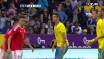 2-0 Mikael Lustig Goal HD - Sweden vs Wales 05.06.2016 HD