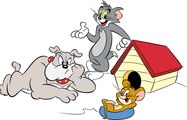 Tom & Jerry Tom And Jerry Cartoon Movies Full episodes 2016