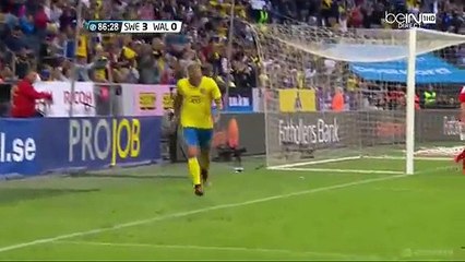 John Guidetti Goal HD - Sweden 3-0 Wales 05.06.2016 HD