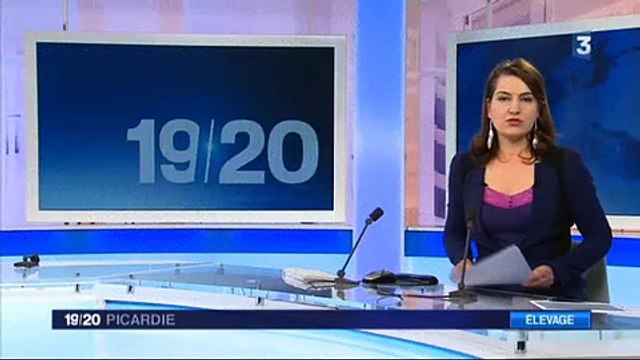 20160324-F3Pic-19-20-Amiens-Loi Travail : 3e journée de mobilisation