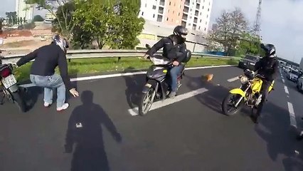 Bikers save dog in the highway