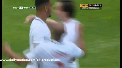 Joshua King Goal HD Belgium 1-1 Norway Friendly Game 05.06.2016