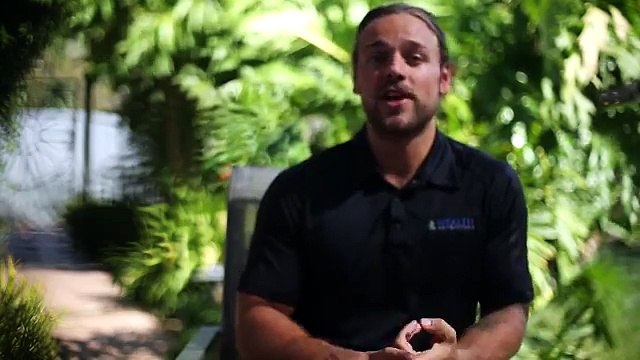 Wealth Generators 5 Minute Presentation with Logan Shippy GEM