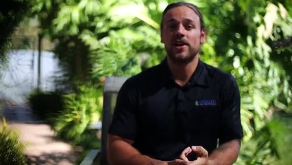 Wealth Generators 5 Minute Presentation with Logan Shippy GEM