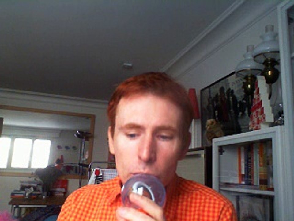 Wiwi égratigne "je rentrerai pour toi ce soir" de Sébastien Deleria