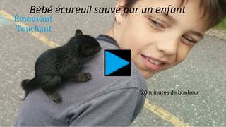 Bébé écureuils sauver par un jeune garçon.Touchant, émouvant.