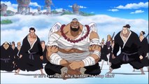 KAIDO APPEARS INTRODUCTION EPIC!!!! One Piece 739 ENG SUB [HD]