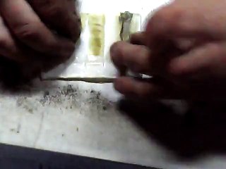 How to Make Kief Hash 🌿