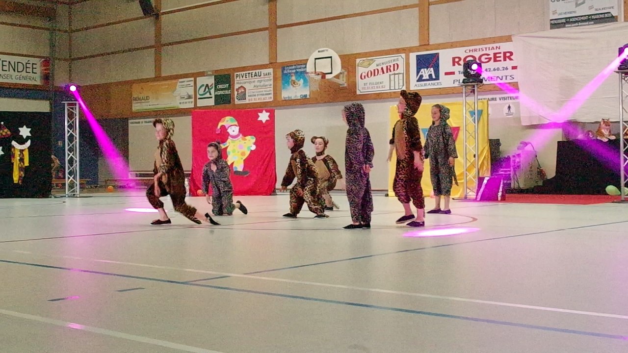 Les lions !!!