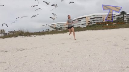 Funny animals can always make you laugh and cheer you up - Funny animal compilation