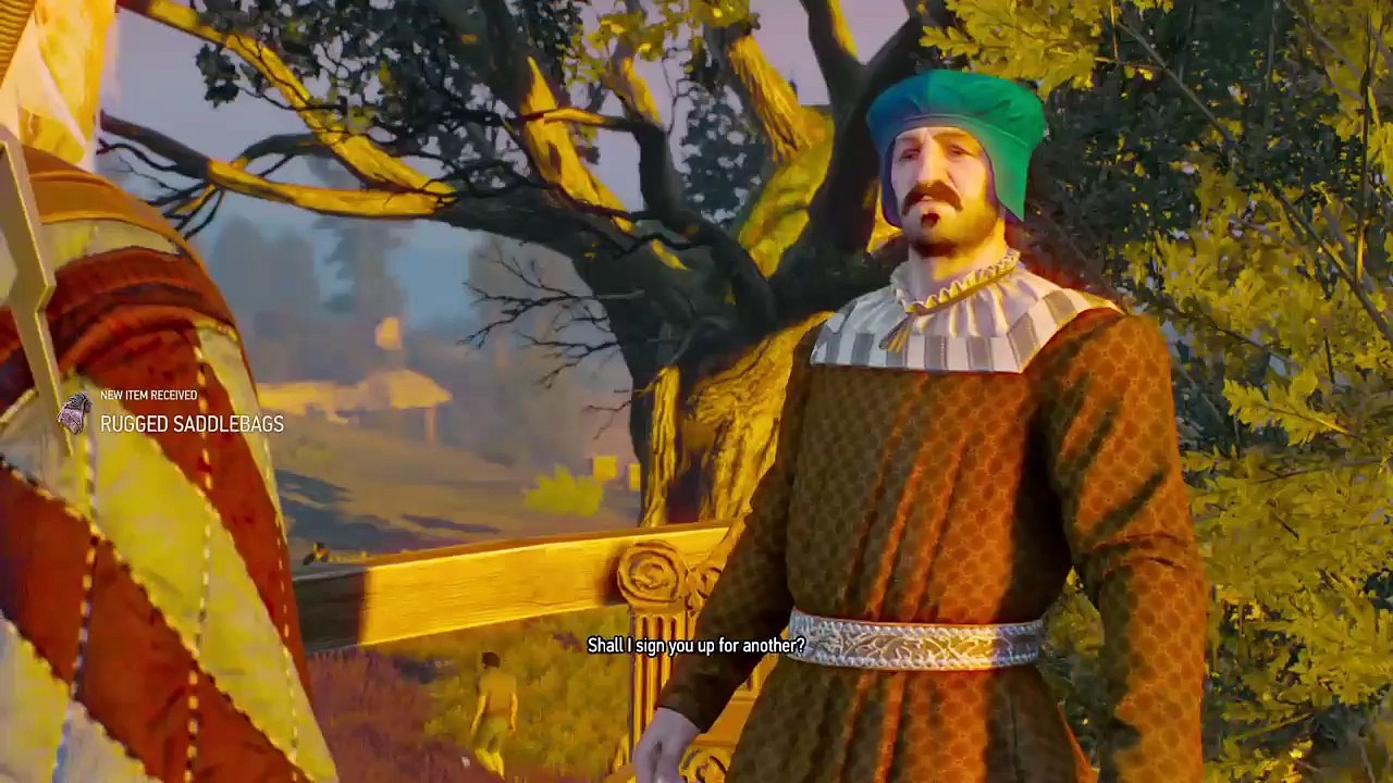 The witcher 3 (144)