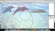 Uso de Retículas en Creación de Imagotipo