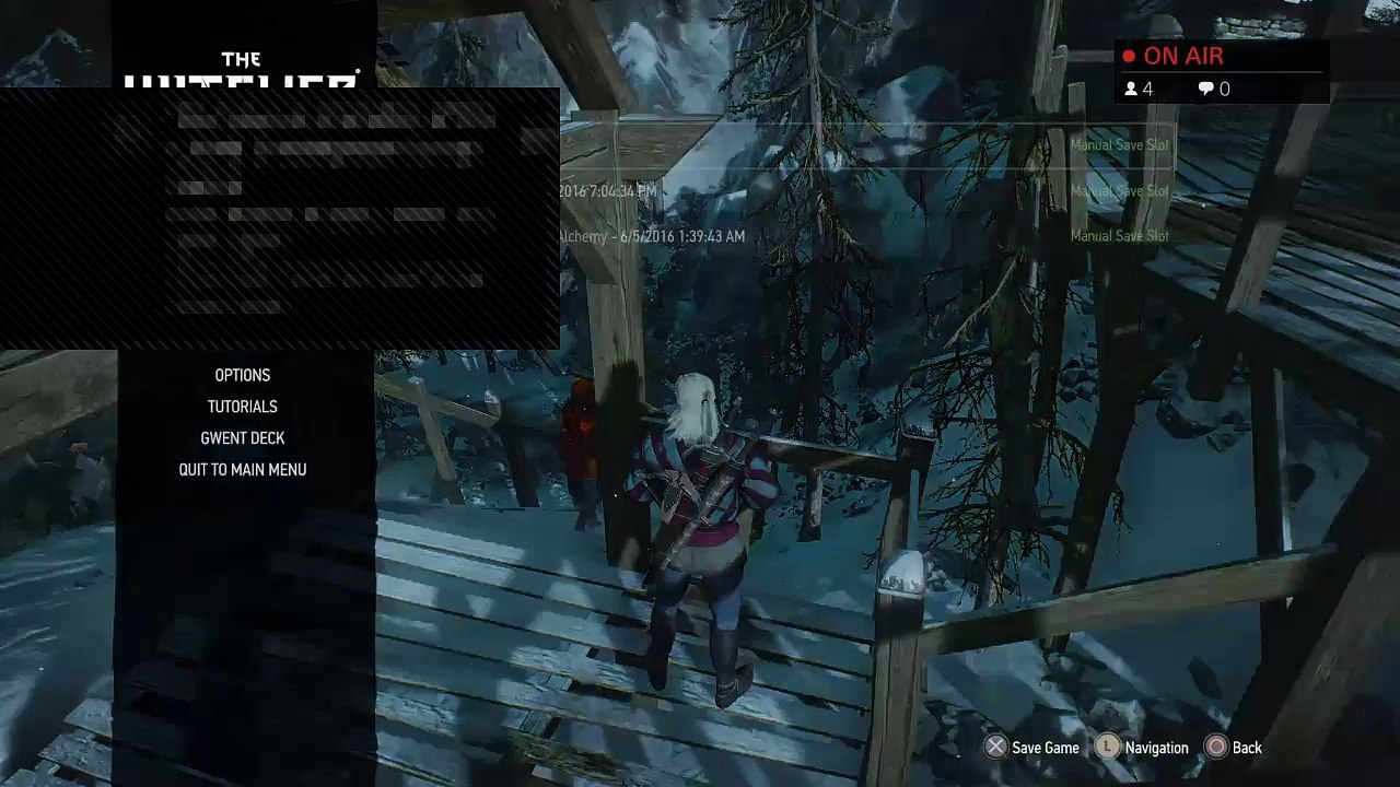 The witcher 3 (148)