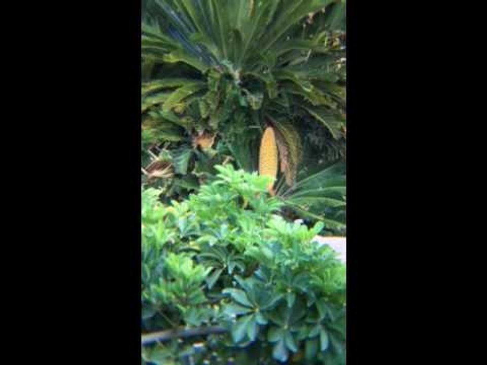 A room with a view  2