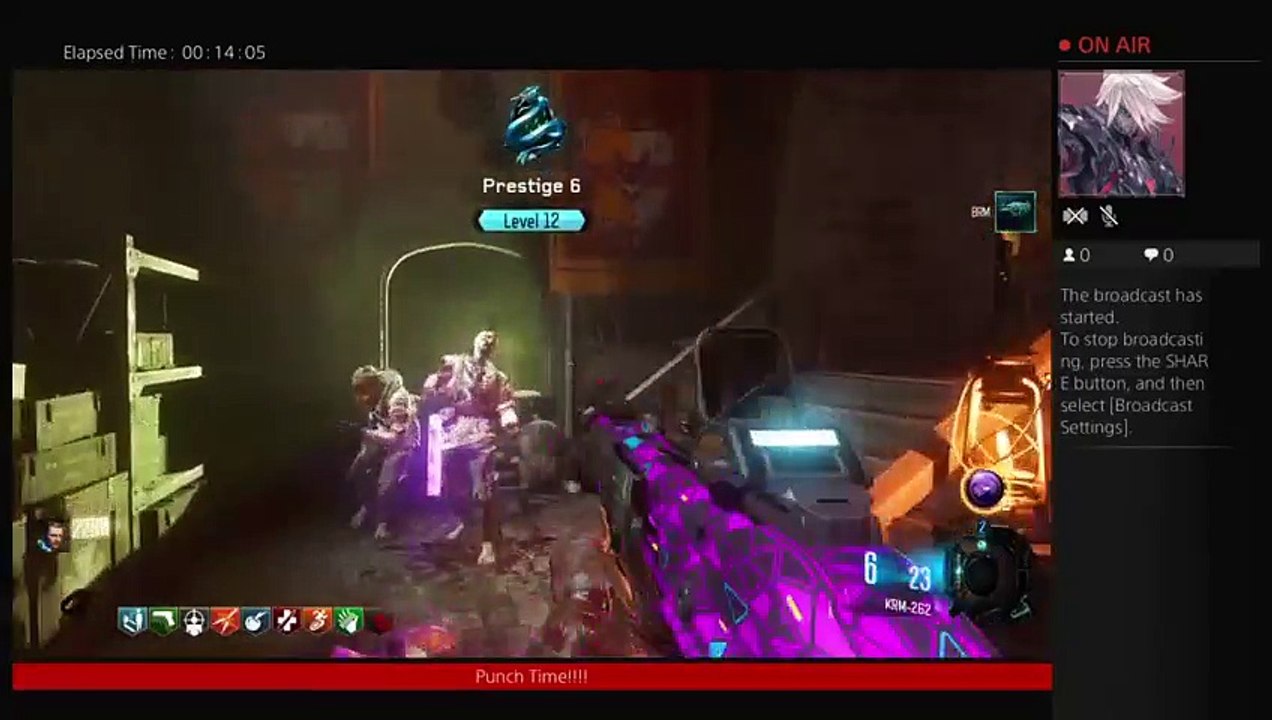 Bo3 zombies (25)