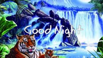Good Night Sweet Dreams Wishes,Good Night Greetings,E-Card,Wallpapers,Good Night Whatsapp Video
