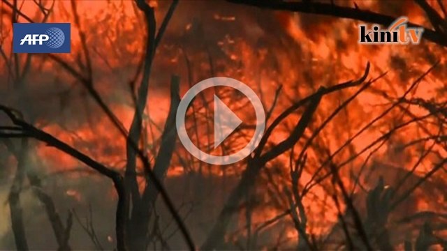Ribuan penduduk pindah akibat kebakaran hutan