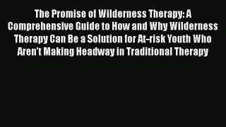 Read Book The Promise of Wilderness Therapy: A Comprehensive Guide to How and Why Wilderness
