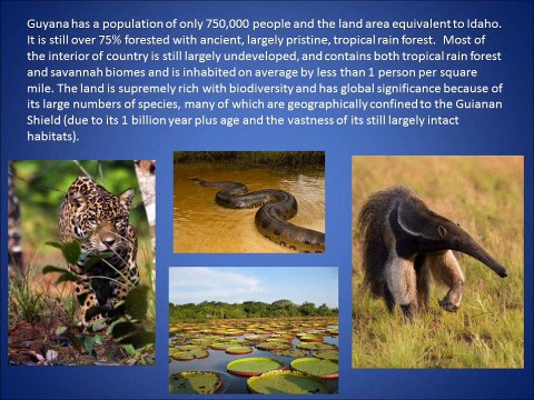 Guyana Lesley Abroad Service Semester