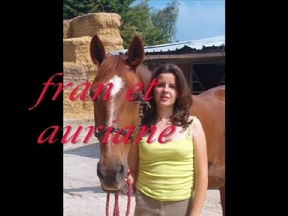 cheval du club
