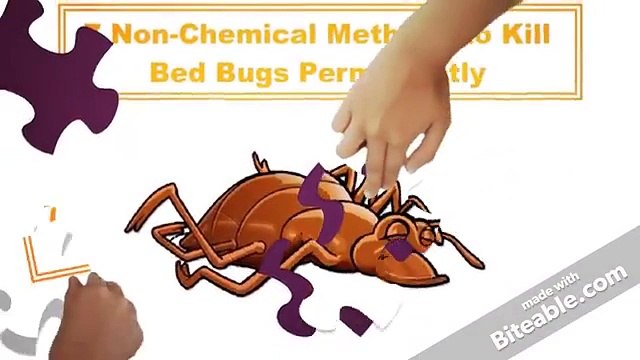 7 Non-Chemical Ways to Kill Bed Bugs Permanently